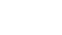 The Brick Client